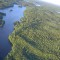 Industrie forestière : Ottawa ne doit pas favoriser l’Ontario au détriment du Québec