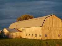 Le 12 septembre, journée portes ouvertes dans les fermes québécoises