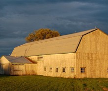 Le 12 septembre, journée portes ouvertes dans les fermes québécoises