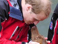 Le prince William d’Angleterre viendra se pavaner royalement au Québec