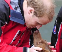 Le prince William d’Angleterre viendra se pavaner royalement au Québec