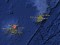 Mauritia: microcontinent, une hypothèse