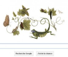 Maria Sibylla Merian : Google décerne un doodle à Maria Sibylla Merian