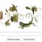 Maria Sibylla Merian : Google décerne un doodle à Maria Sibylla Merian