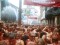 La Tomatina souligne son 70ème anniversaire